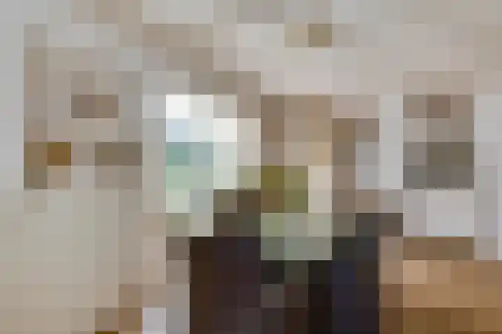 Eikenbocht 9 Knegsel thumbnail 6
