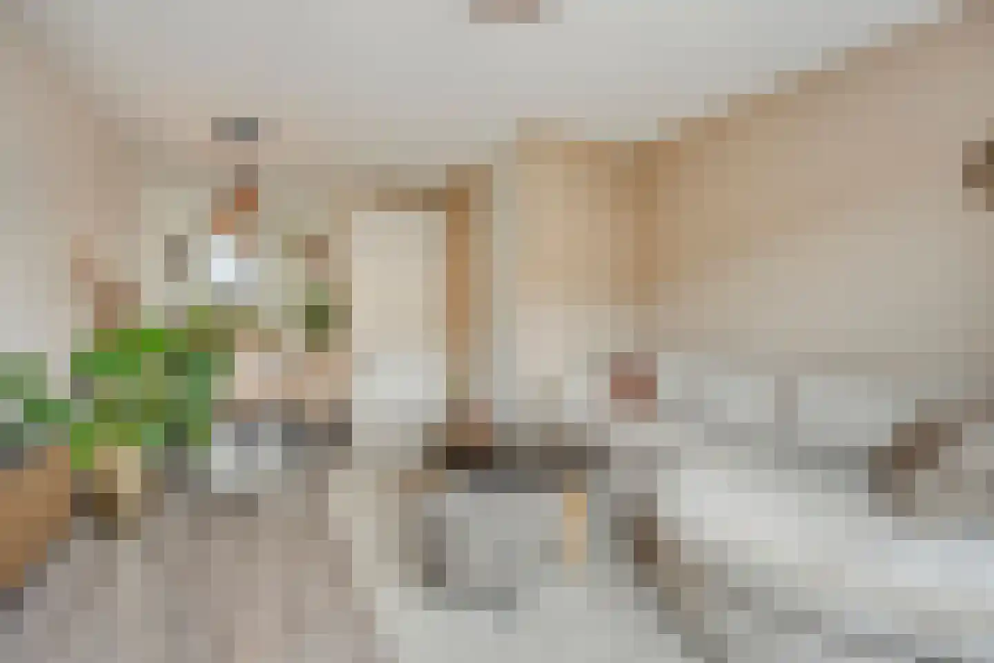 Eikenboogstraat 14 Zeeland thumbnail 10