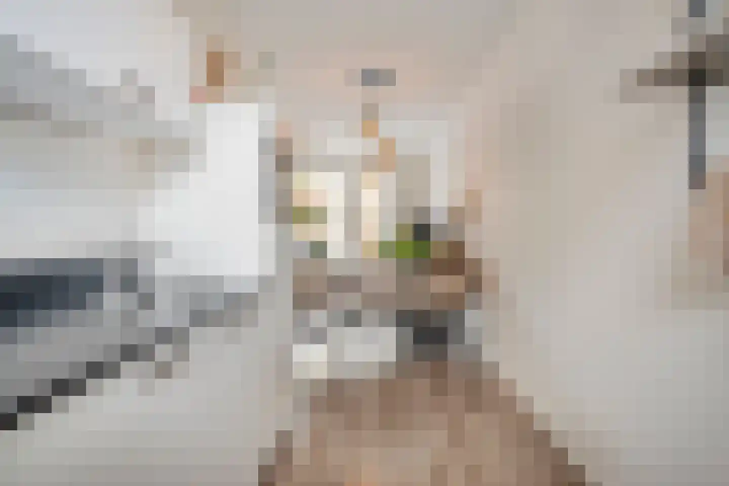 Eikenboogstraat 14 Zeeland thumbnail 13