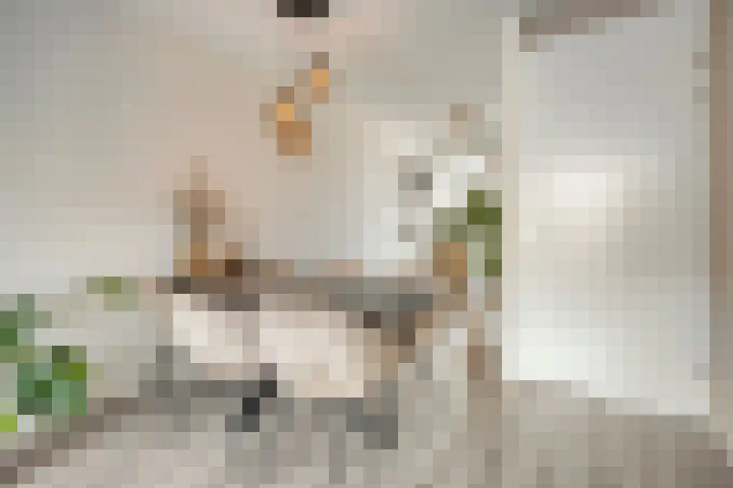Eikenboogstraat 14 Zeeland thumbnail 4
