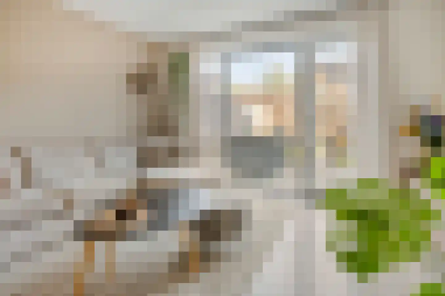 Eikenboogstraat 14 Zeeland thumbnail 9