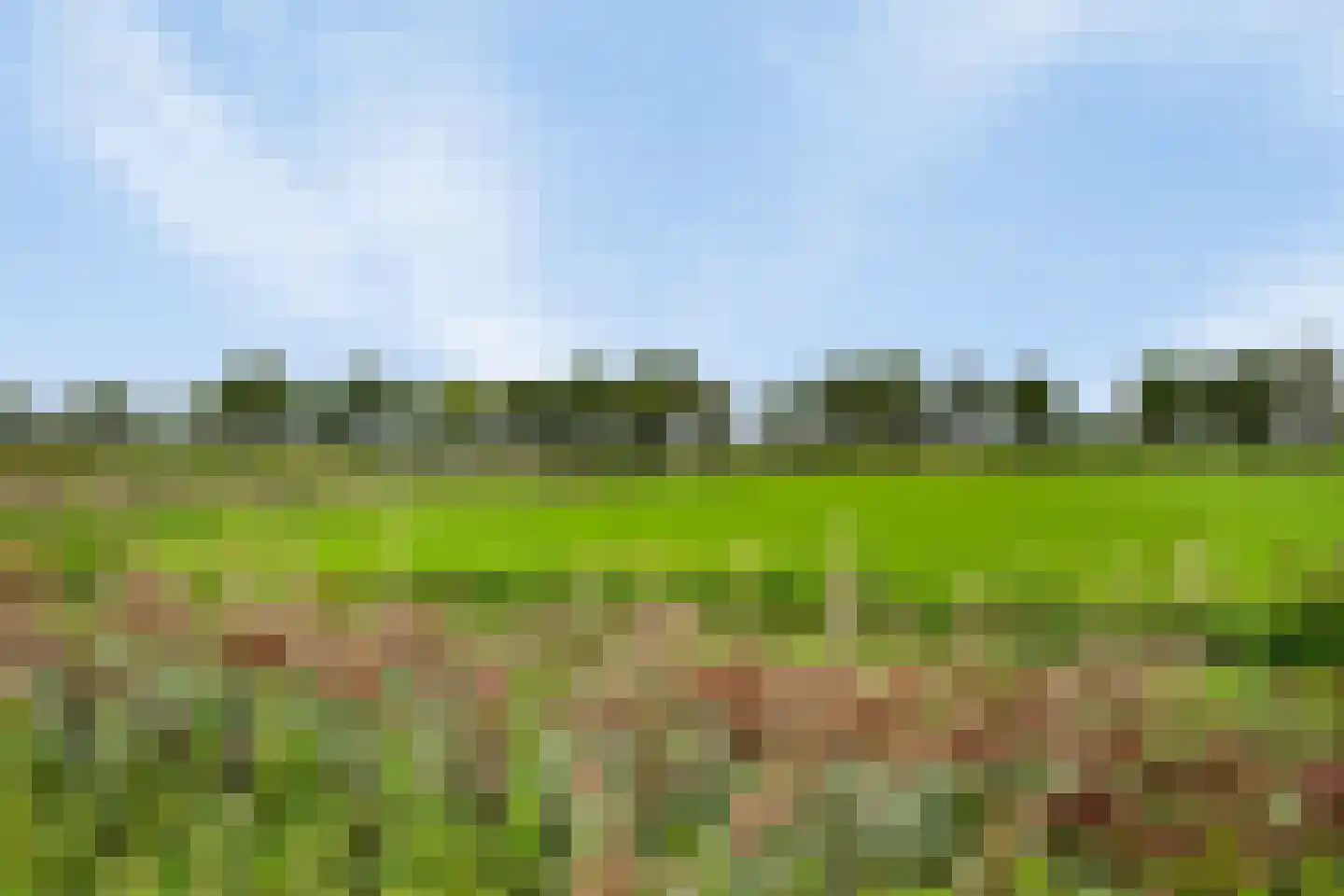 Eikenboogstraat 16 Zeeland thumbnail 33