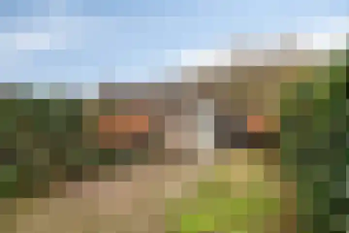 Eikenboogstraat 2 Zeeland thumbnail 24