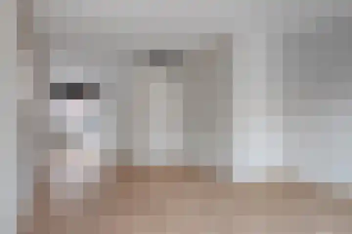 Eikenboogstraat 2 Zeeland thumbnail 8