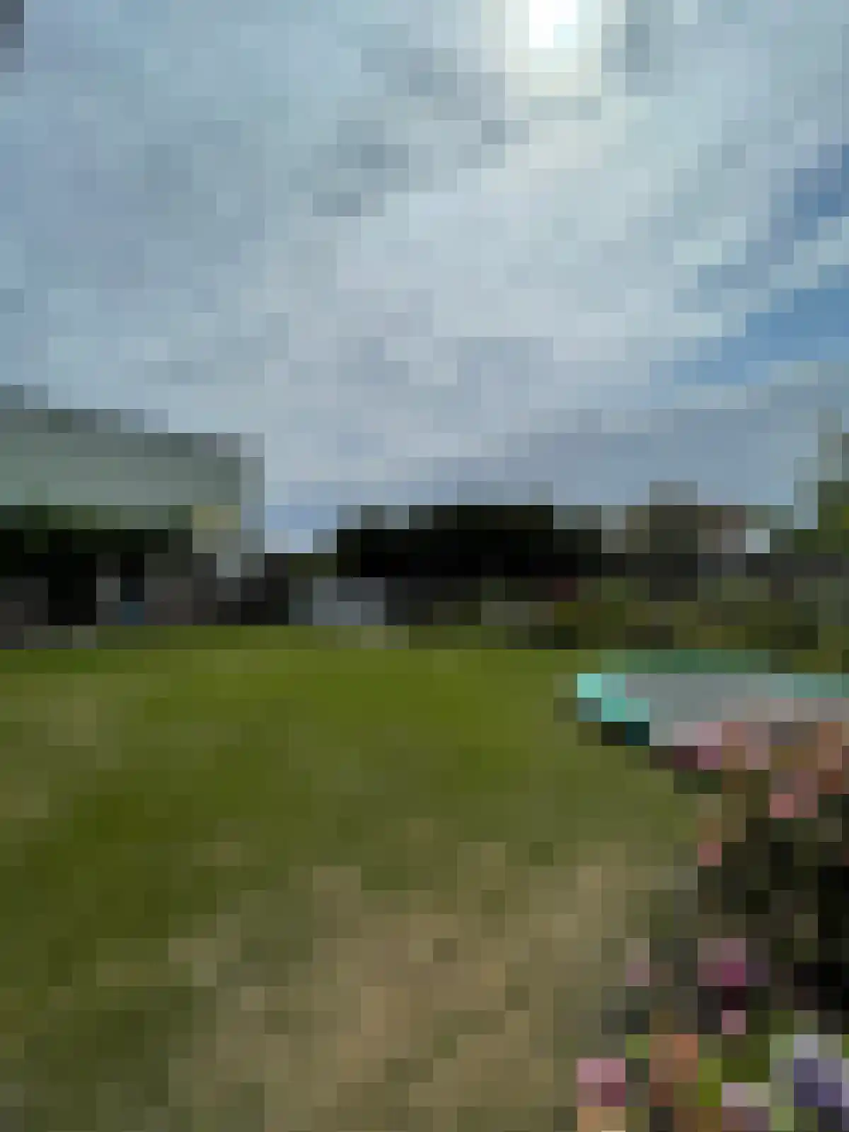 Eikenbos 14 Bladel thumbnail 6