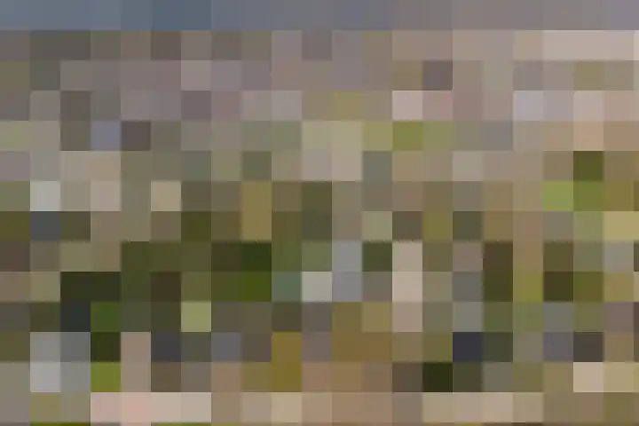 Eikenboslaan 1 Landgraaf thumbnail 33