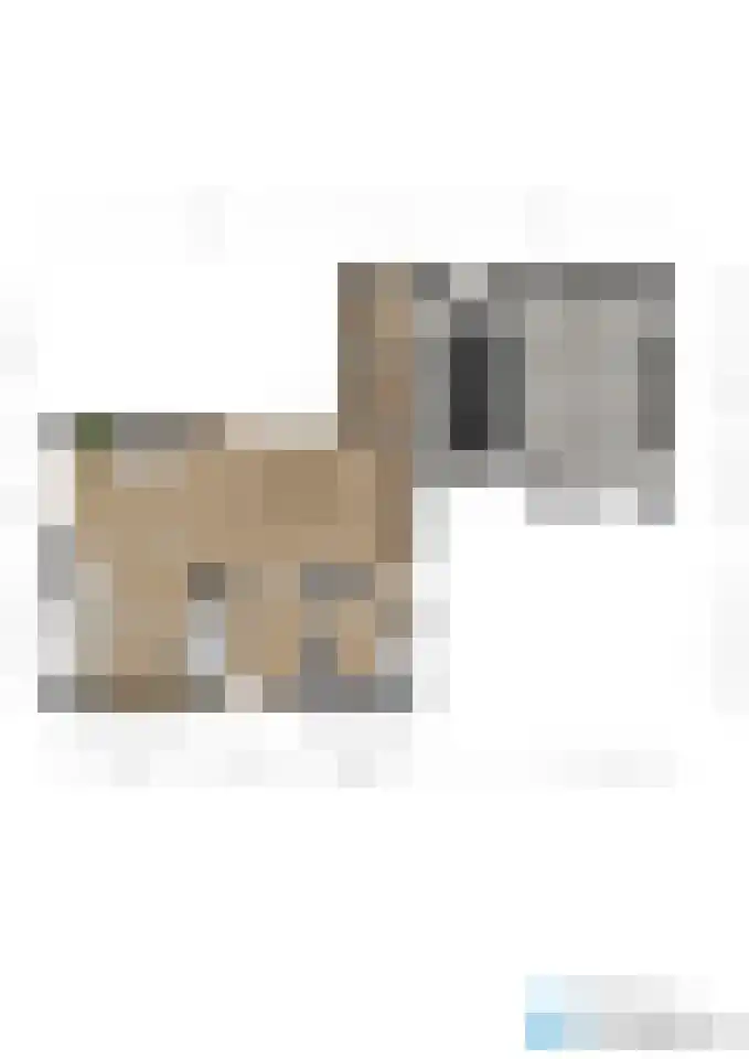 Eikenboslaan 1 Landgraaf thumbnail 34