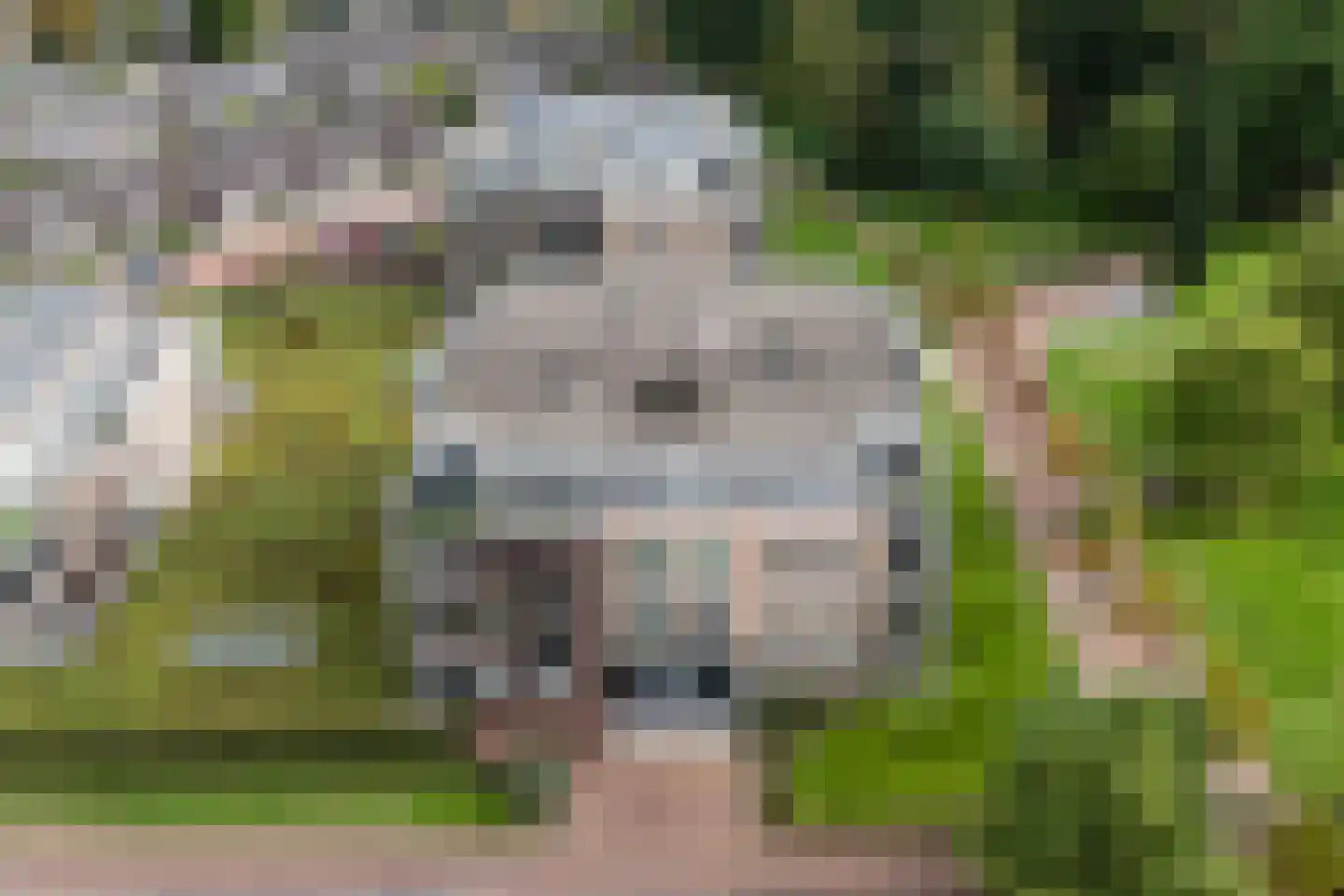 Eikenburg 130 Eersel thumbnail 43