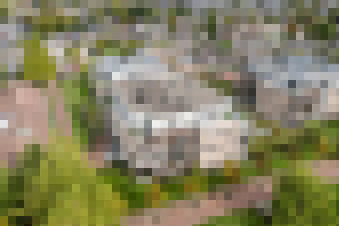 Eikenburg 130 Eersel thumbnail 45
