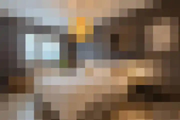 Eikenbussel 106 Oirschot thumbnail 21
