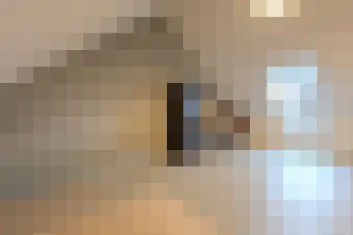 Eikenbussel 106 Oirschot thumbnail 32