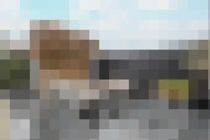 Eikenbussel 106 Oirschot thumbnail 36