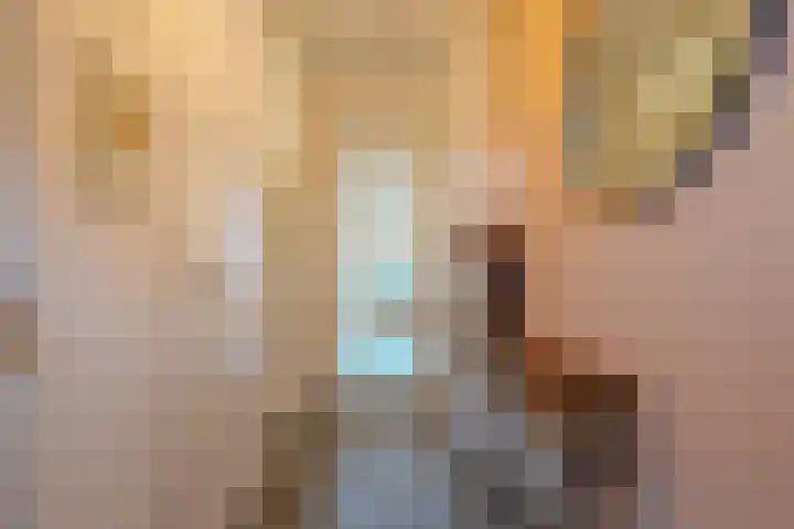 Eikenbussel 106 Oirschot thumbnail 7