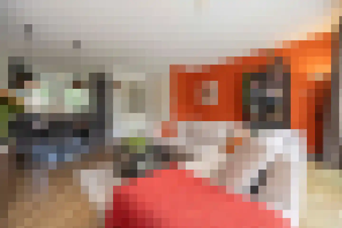 Eikenbussel 124 Oirschot thumbnail 15