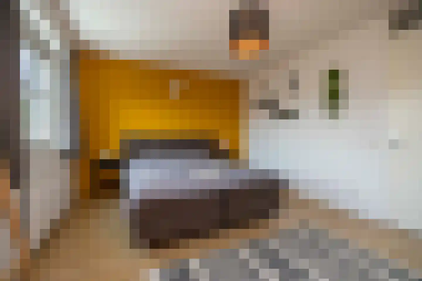 Eikenbussel 124 Oirschot thumbnail 24