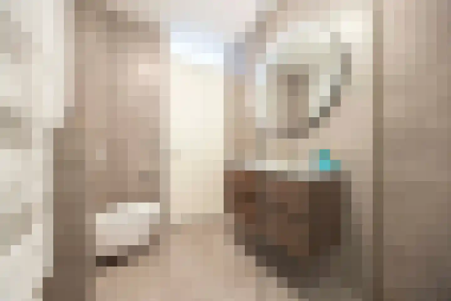 Eikenbussel 124 Oirschot thumbnail 30