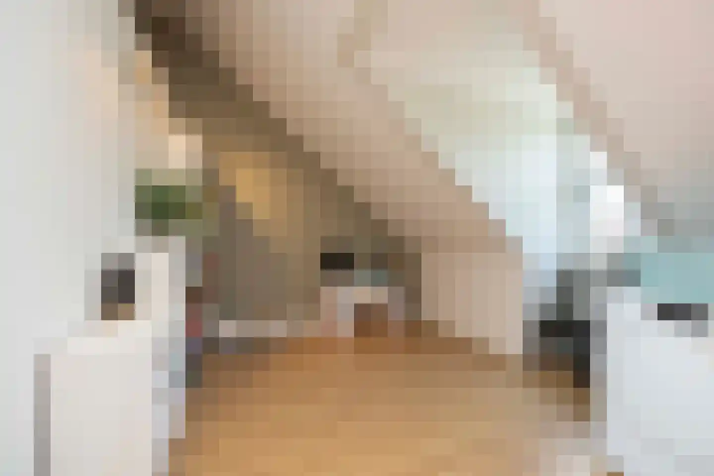 Eikenbussel 124 Oirschot thumbnail 31
