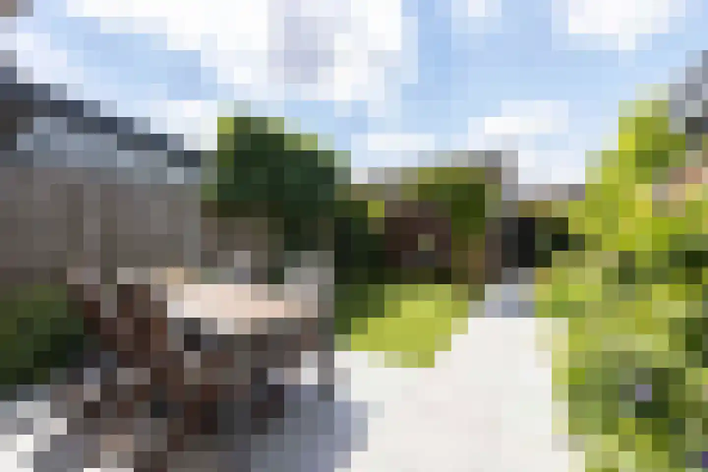 Eikenbussel 124 Oirschot thumbnail 36