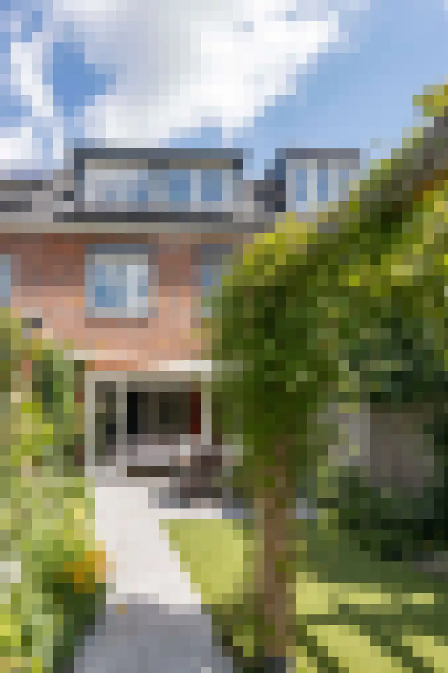 Eikenbussel 124 Oirschot thumbnail 39