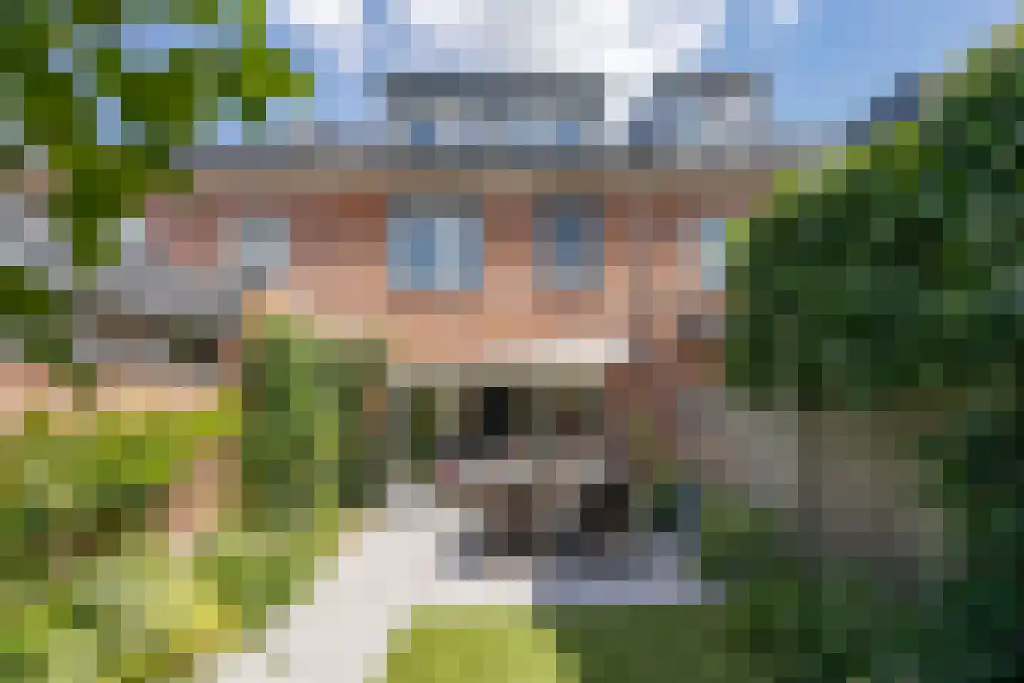 Eikenbussel 124 Oirschot thumbnail 40