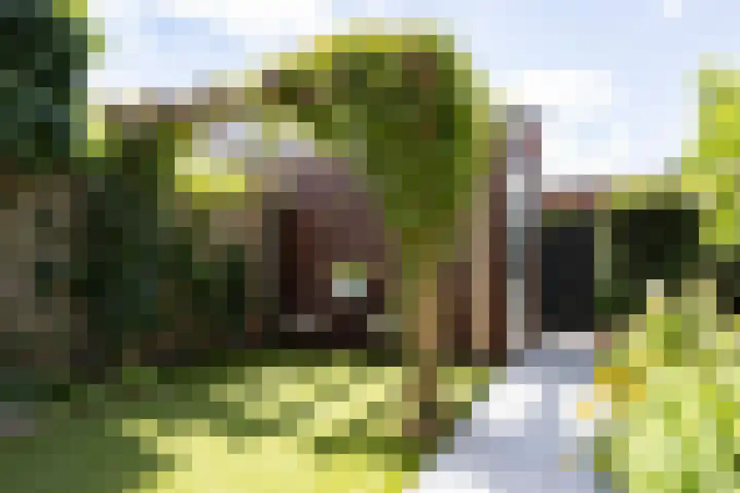 Eikenbussel 124 Oirschot thumbnail 42