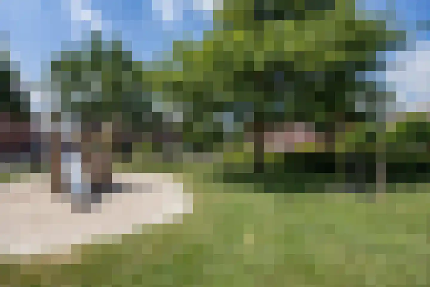 Eikenbussel 124 Oirschot thumbnail 45