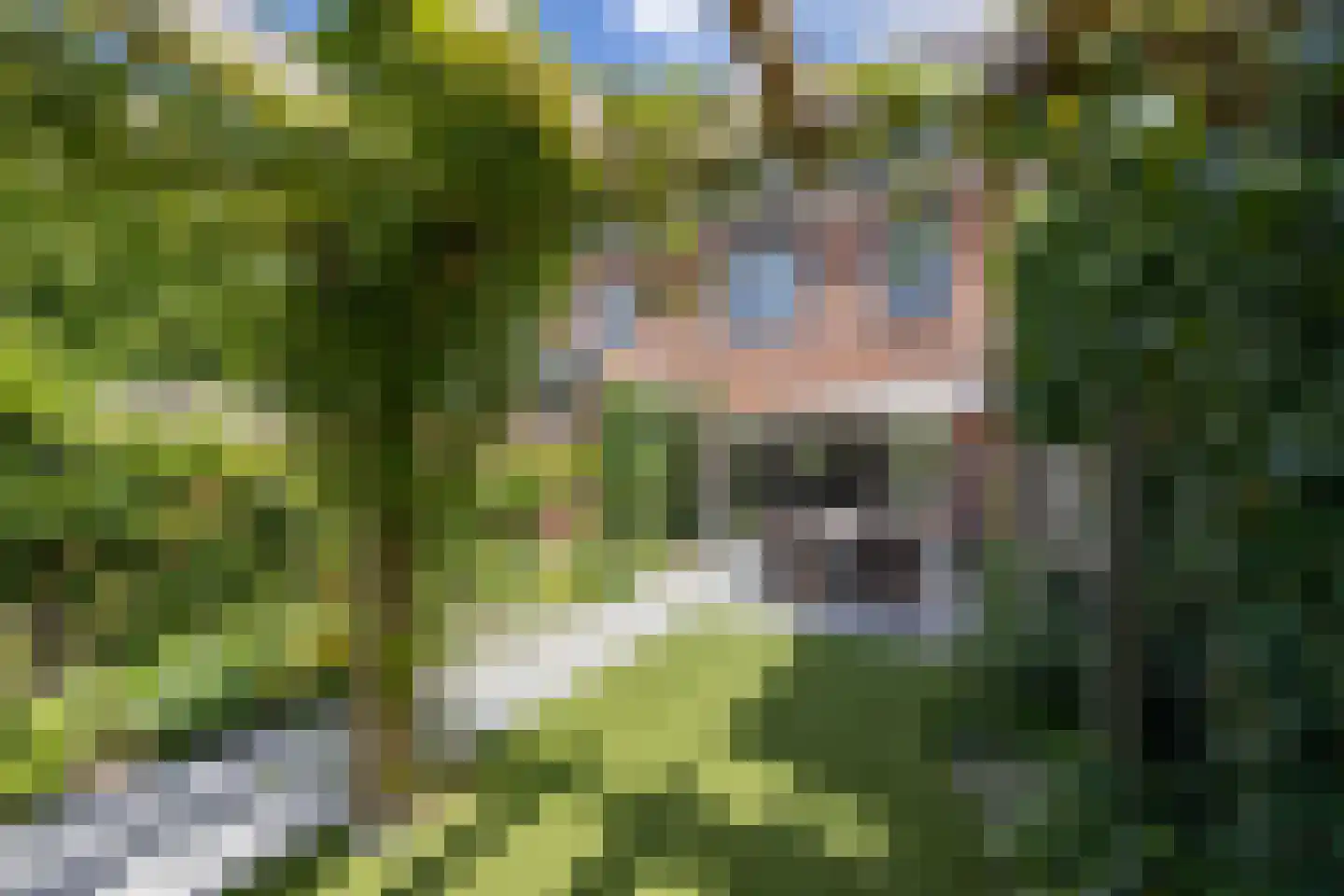 Eikenbussel 124 Oirschot thumbnail 5