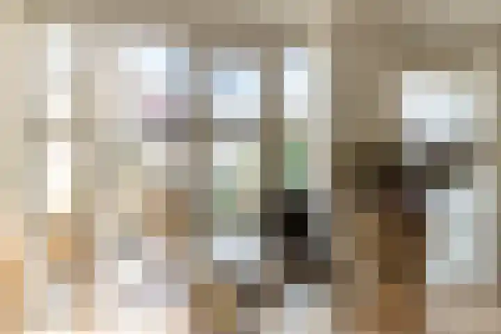 Eikenbussel 19 Oirschot thumbnail 16