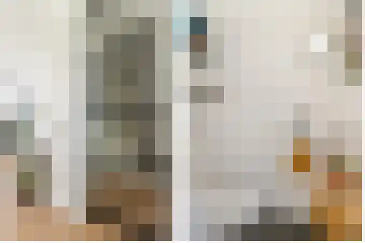 Eikenbussel 19 Oirschot thumbnail 17