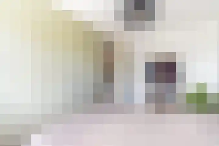 Eikenbussel 19 Oirschot thumbnail 19