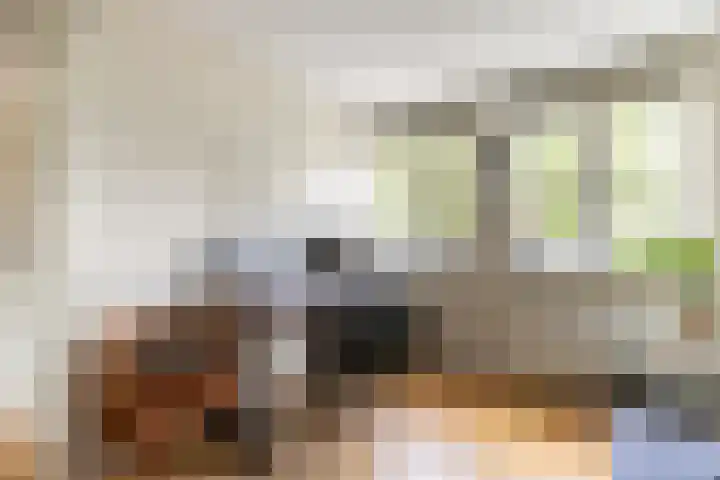 Eikenbussel 19 Oirschot thumbnail 22