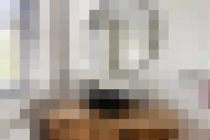 Eikenbussel 19 Oirschot thumbnail 25