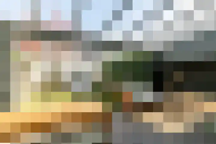 Eikenbussel 19 Oirschot thumbnail 31