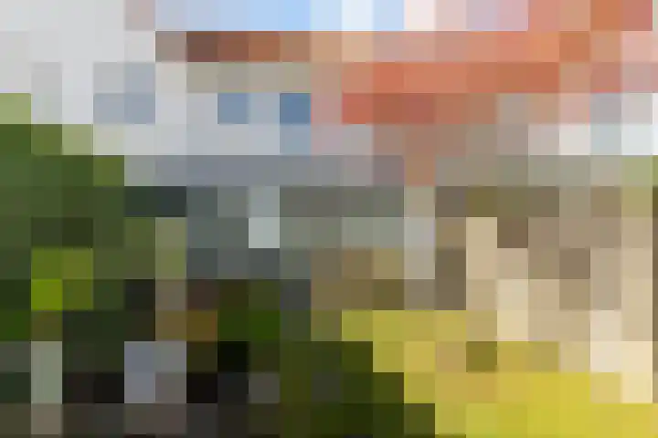 Eikenbussel 19 Oirschot thumbnail 34