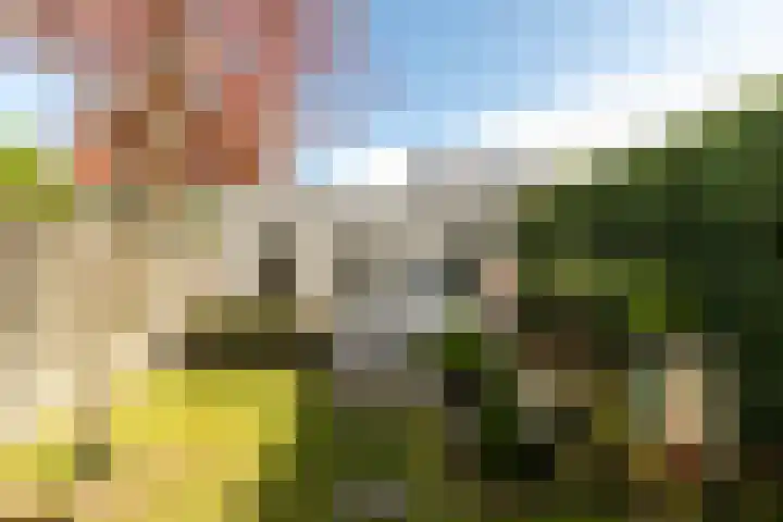 Eikenbussel 19 Oirschot thumbnail 35