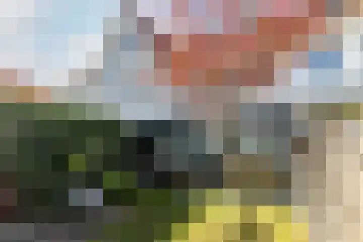 Eikenbussel 19 Oirschot thumbnail 36
