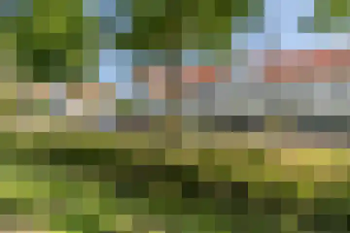 Eikenbussel 19 Oirschot thumbnail 39
