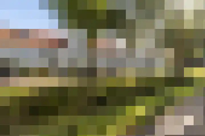 Eikenbussel 19 Oirschot thumbnail 40