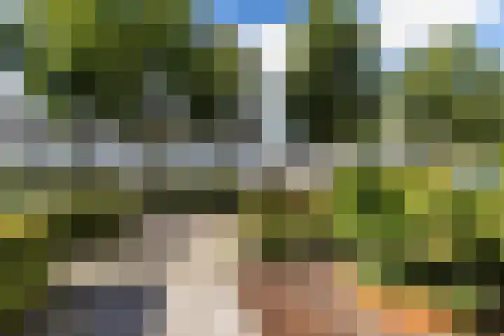 Eikenbussel 19 Oirschot thumbnail 41