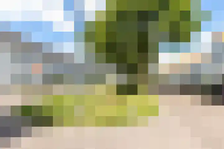 Eikenbussel 19 Oirschot thumbnail 42