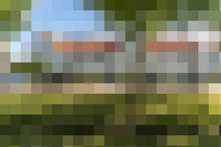 Eikenbussel 19 Oirschot thumbnail 5