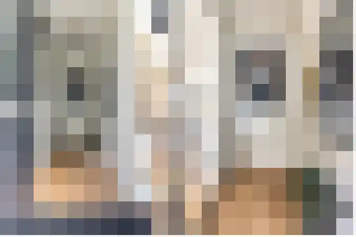 Eikenbussel 19 Oirschot thumbnail 7