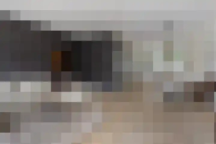 Eikenbussel 28 Oirschot thumbnail 10