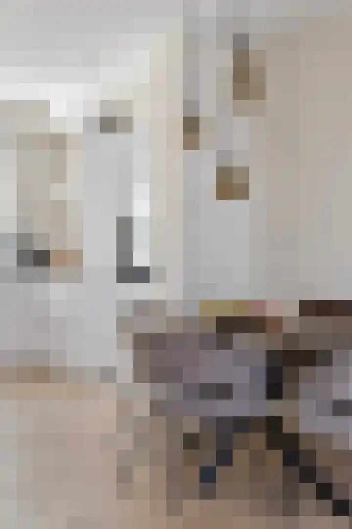 Eikenbussel 28 Oirschot thumbnail 12