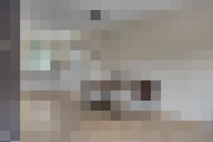 Eikenbussel 28 Oirschot thumbnail 14