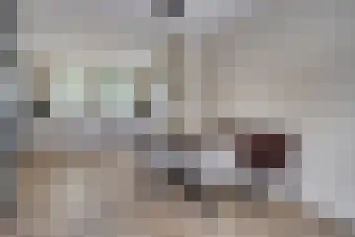 Eikenbussel 28 Oirschot thumbnail 15