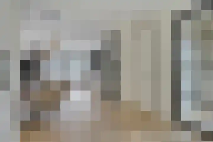 Eikenbussel 28 Oirschot thumbnail 18