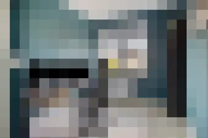 Eikenbussel 28 Oirschot thumbnail 30