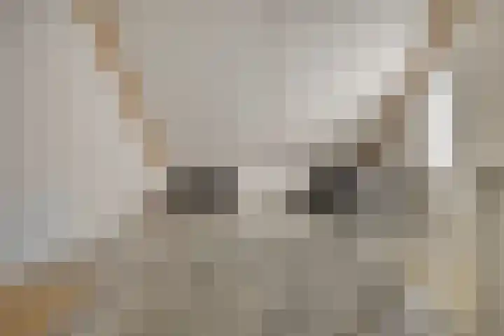 Eikenbussel 28 Oirschot thumbnail 32