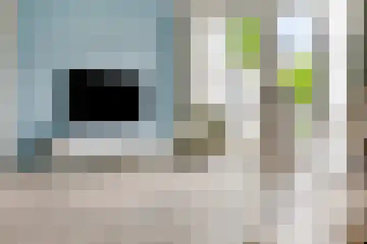 Eikenbussel 31 Oirschot thumbnail 13